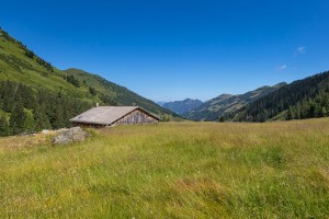 Alpbach Wandern