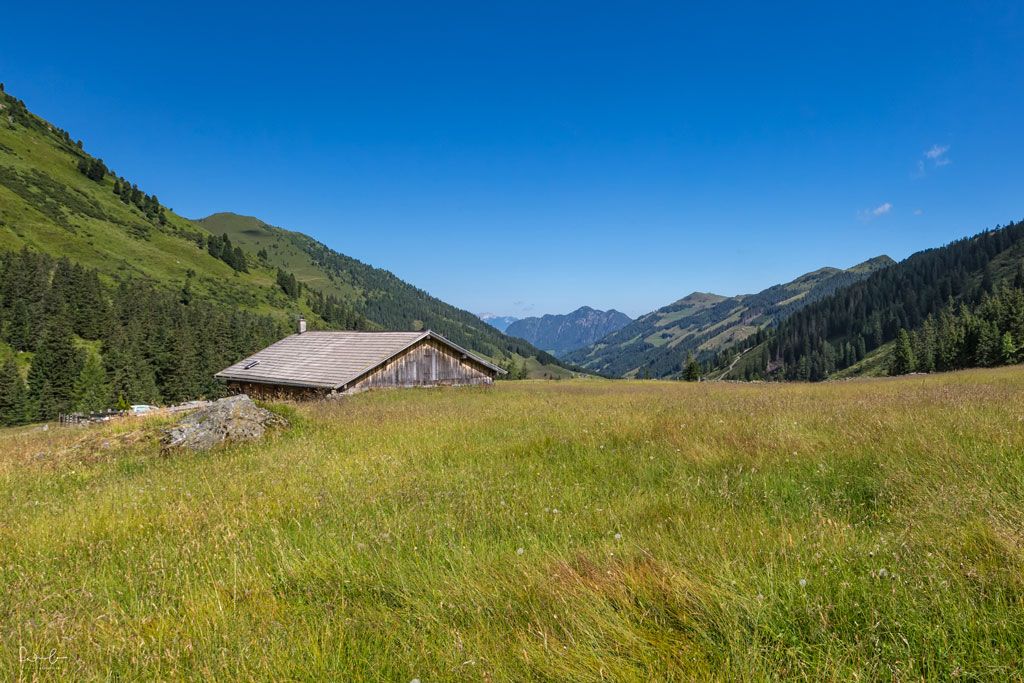 Alpbach Wandern