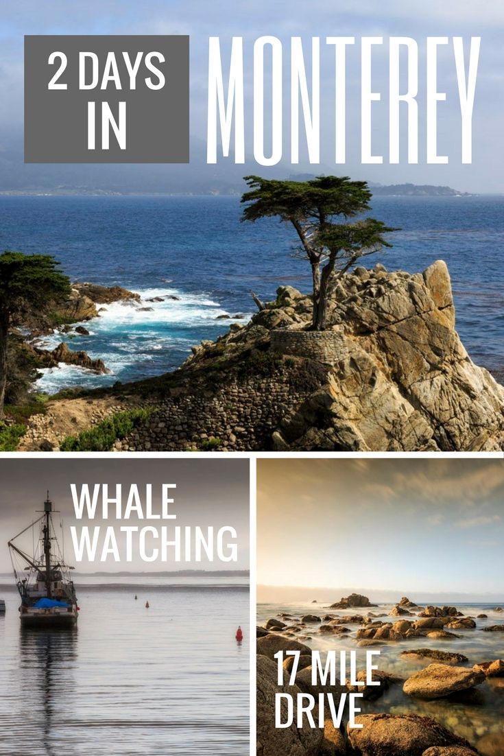 Things to do in Monterey