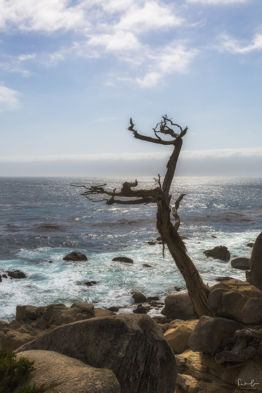 Things to do in Monterey in 2 days