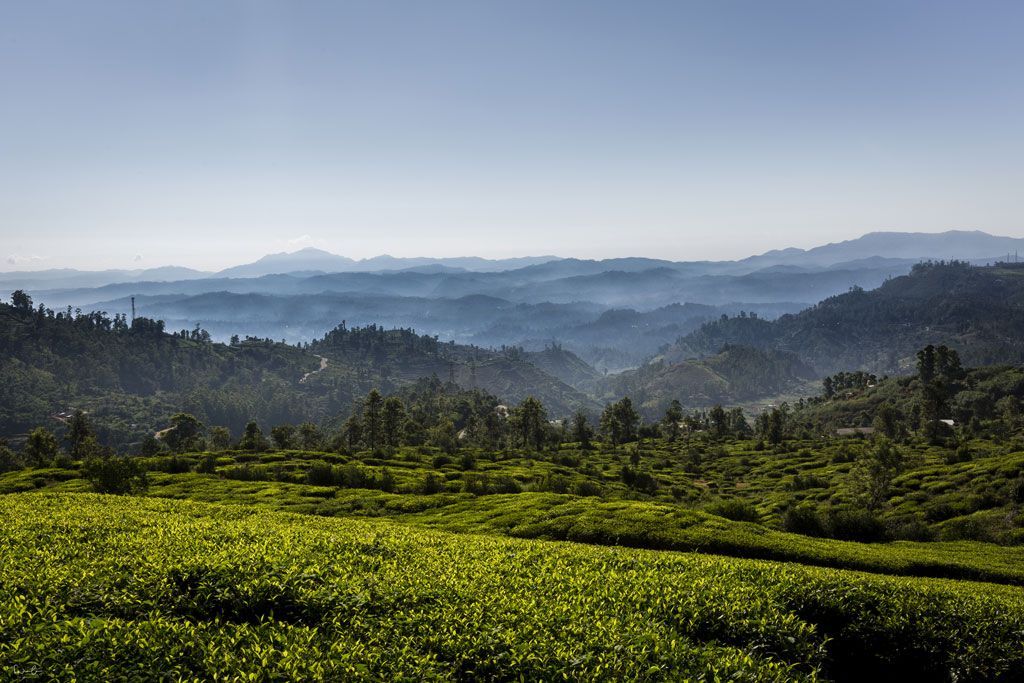 Sri Lanka highlands