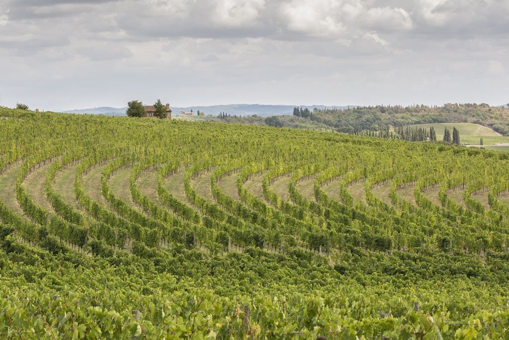 Explore Chianti