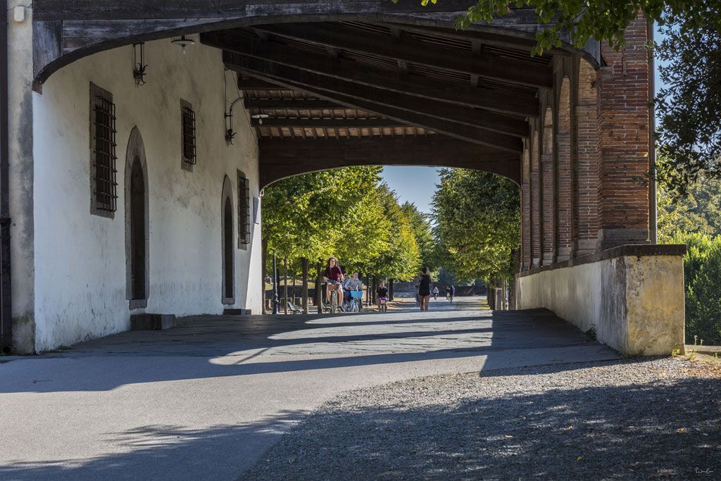 Lucca Tuscany