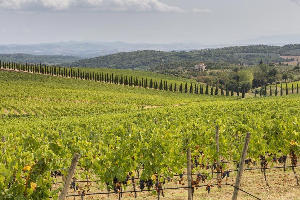 Best of Tuscany - itinerary