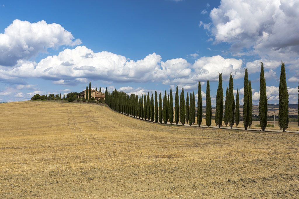 Scenic drive Tuscany