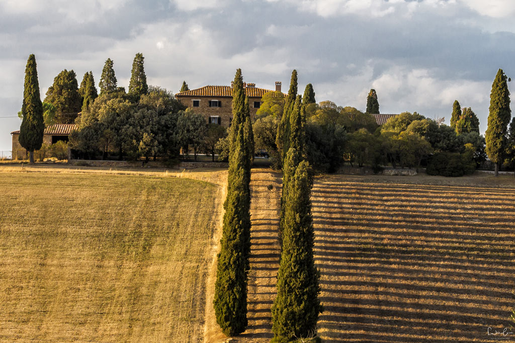 Scenic drive Tuscany