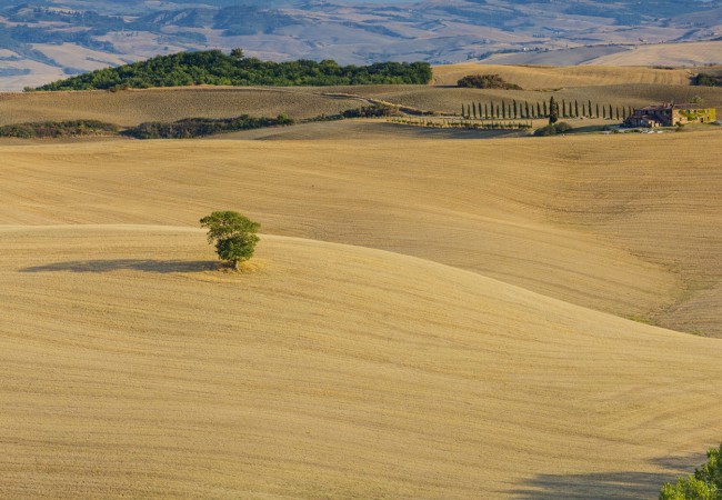 The most scenic drives in Tuscany