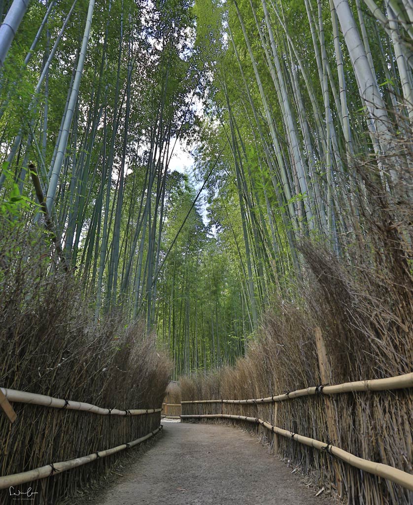 Explore Kyoto