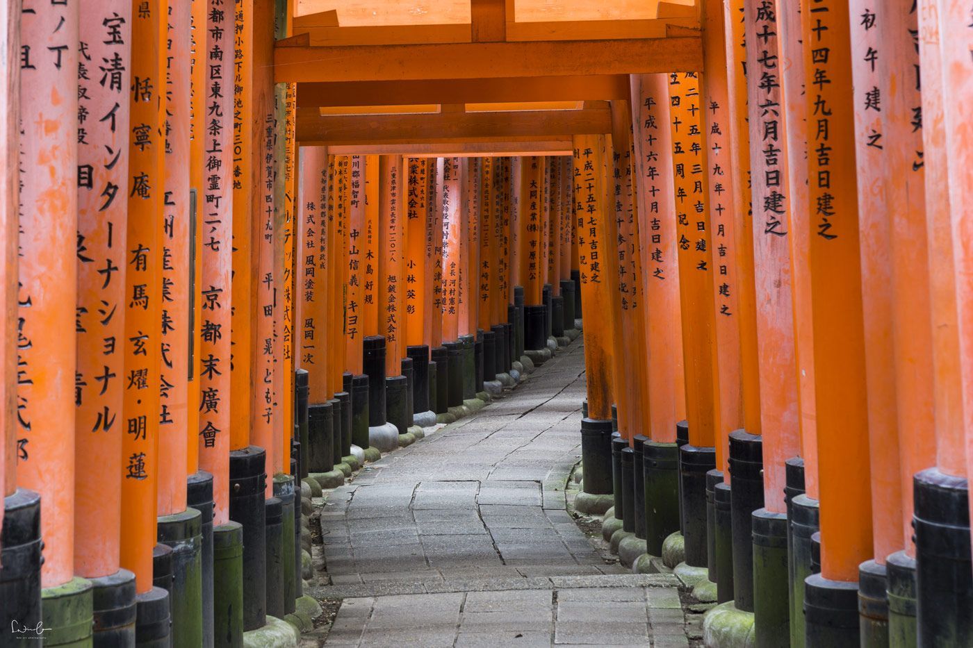 Japan 2 week itinerary