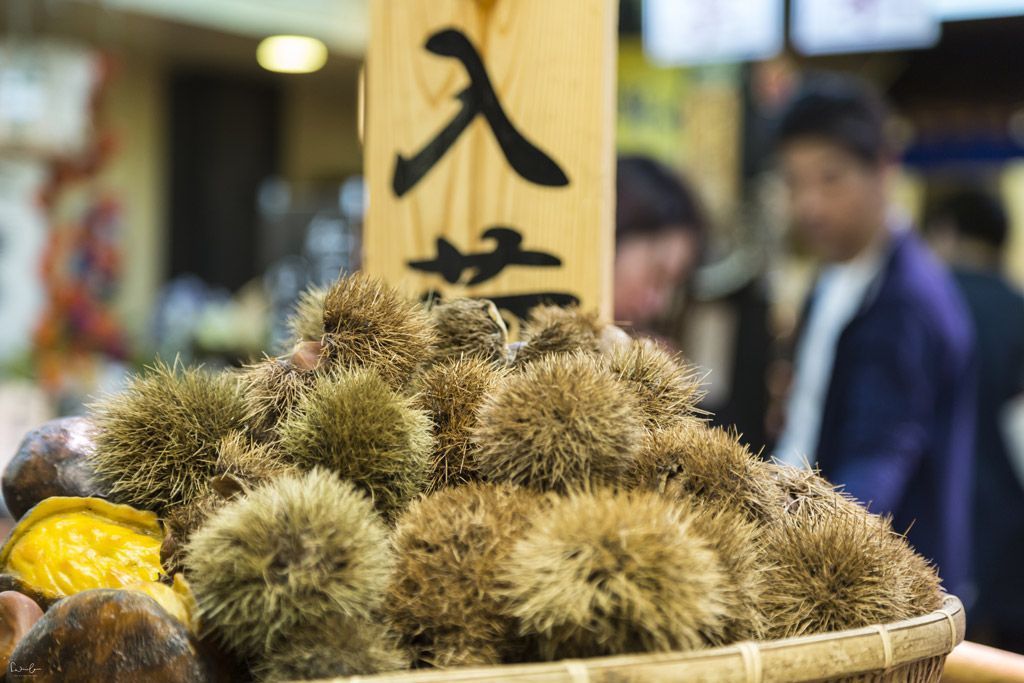 Nishiki Market Kyoto