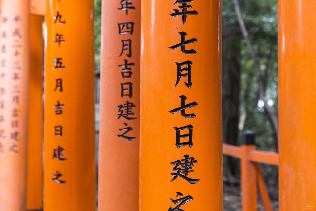 Japan Torii gate