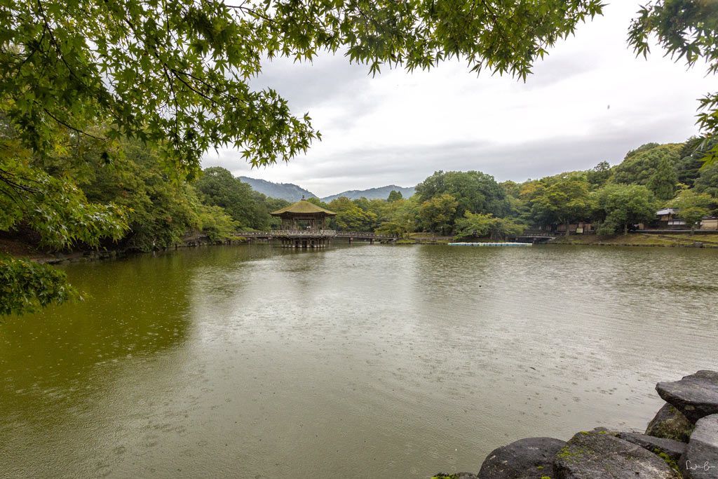 Nara Sagi Ike Pond