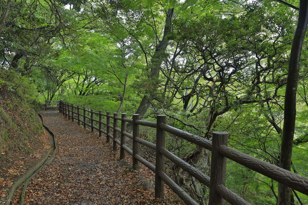 Nara Wakakusa trail 