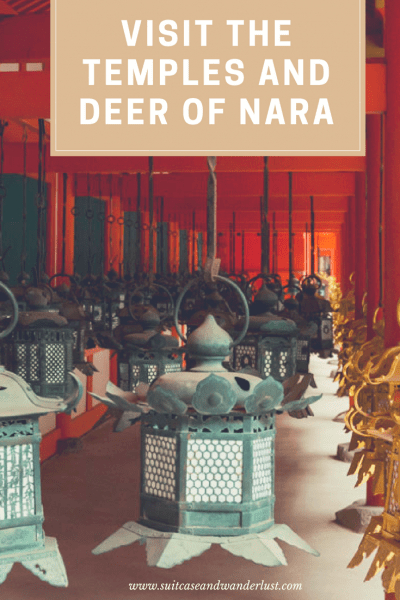 Nara day trip