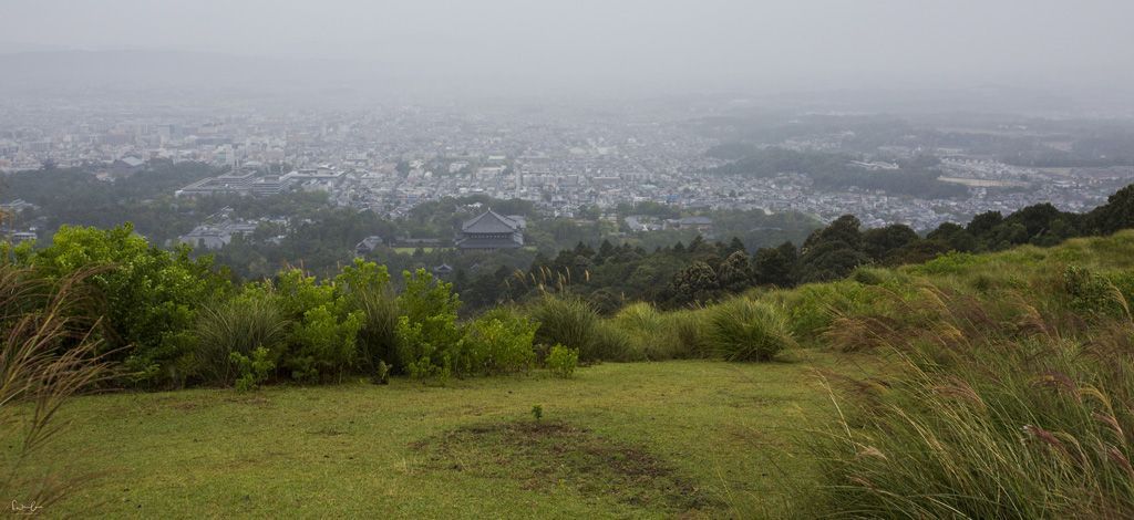 Nara view Mount Wakakusa