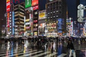 Shinjuku Tokyo by night