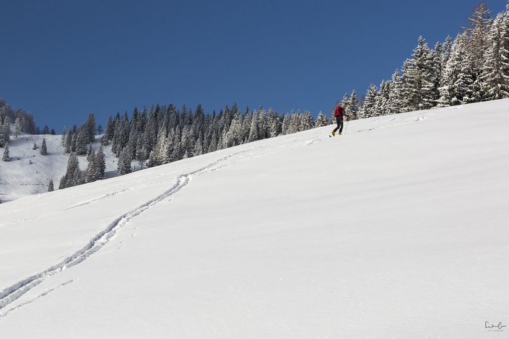 Winter holidays Alpbach