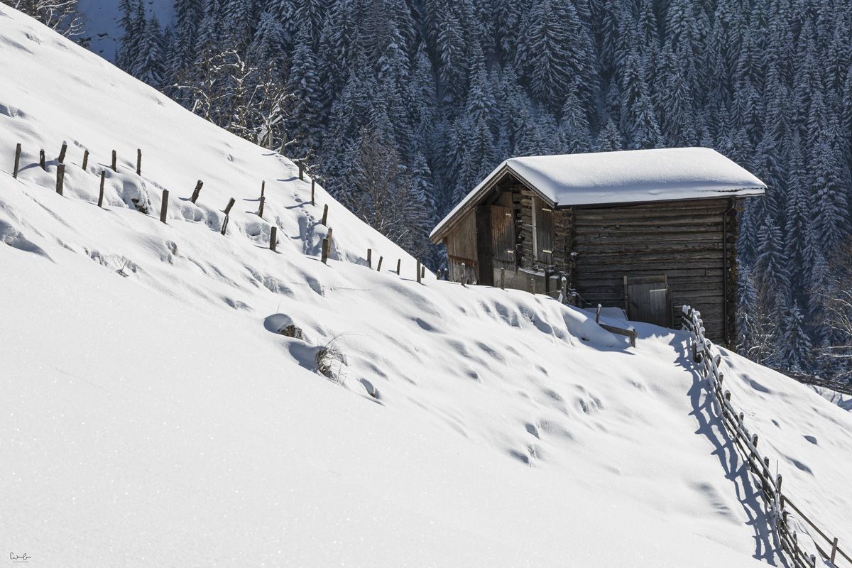 Snow holidays Alpbach