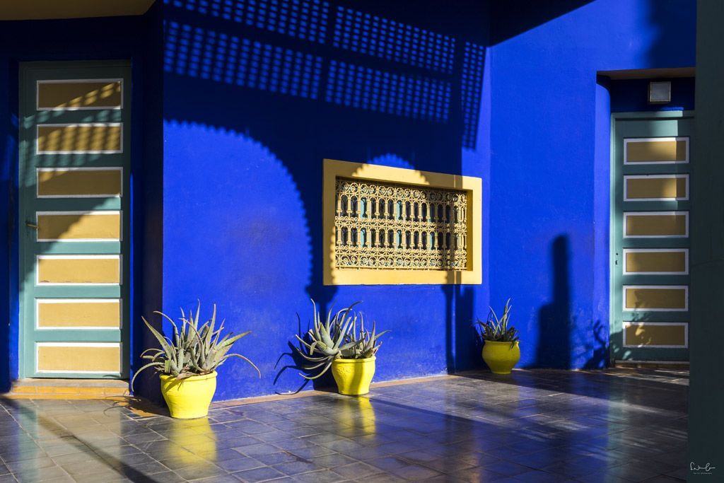 Majorelle Garden Marrakech