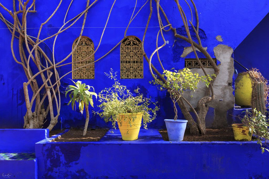 Majorelle Garden Marrakech