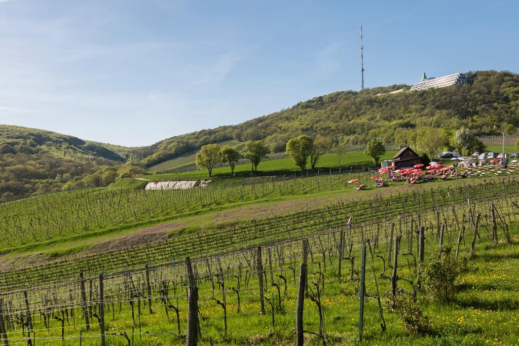 Wien Wochenende