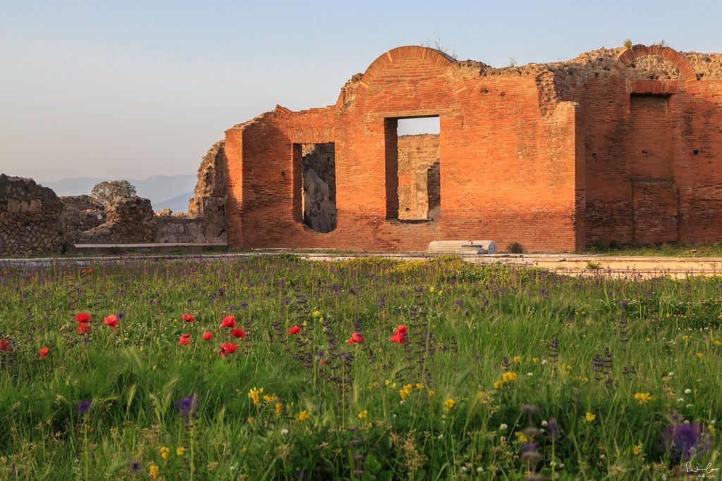 What to see in Pompeii