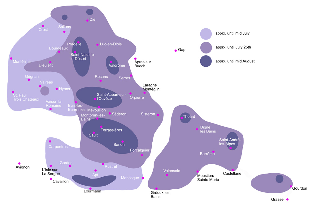 lavendelfelder provence karte Provence Lavender Season lavendelfelder provence karte