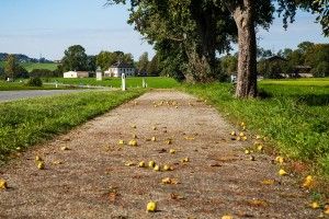 die schönsten Radrouten in Salzburg