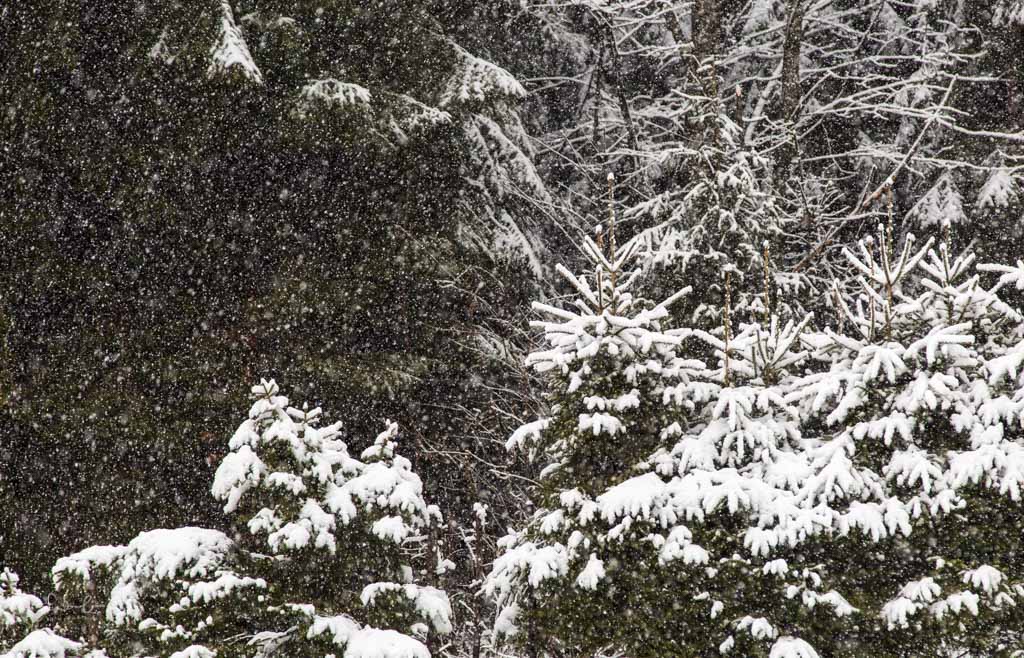 Fotografieren im Winter