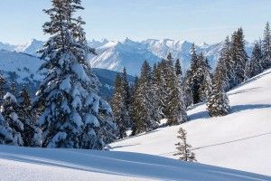 fotografieren im winter