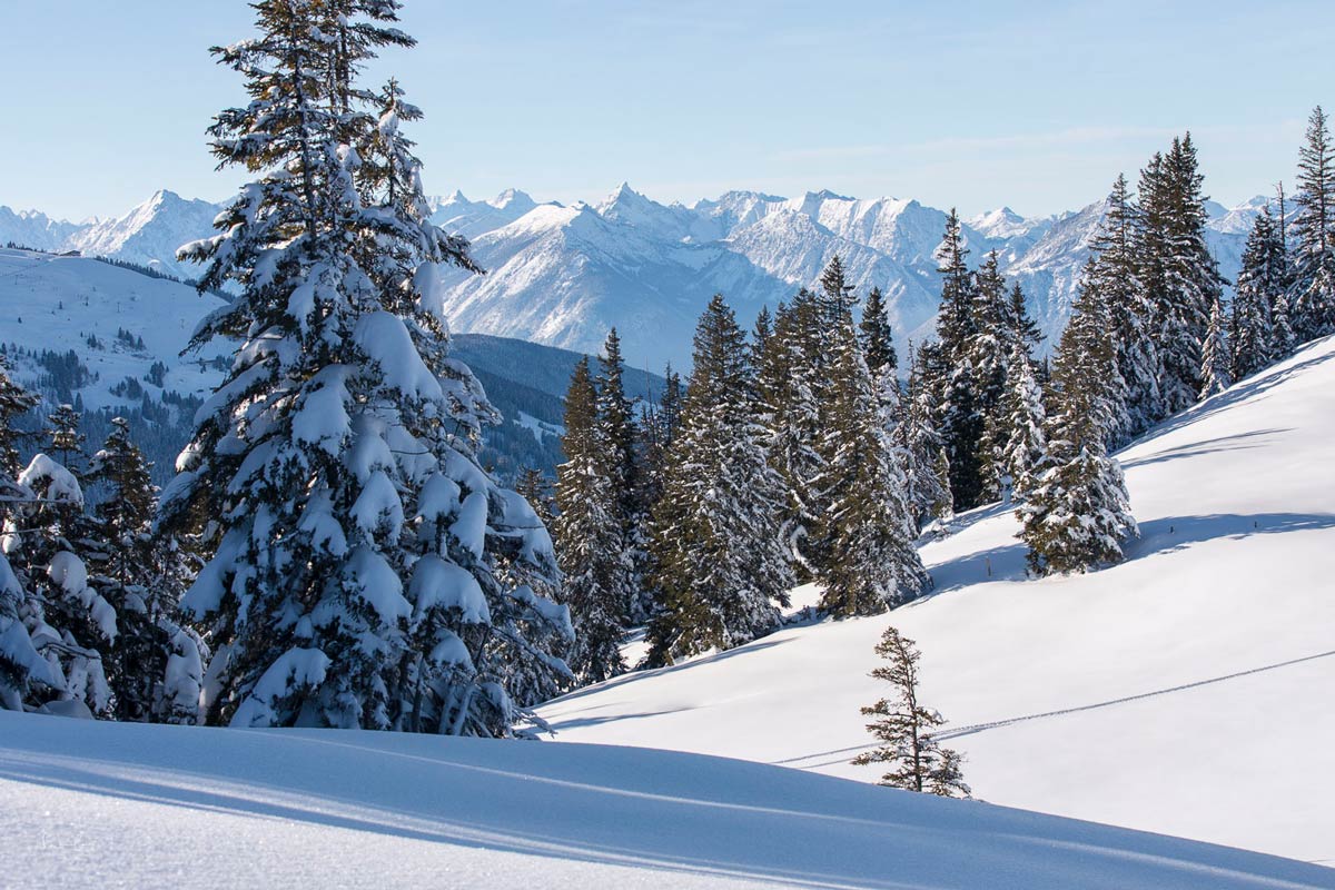 fotografieren im winter