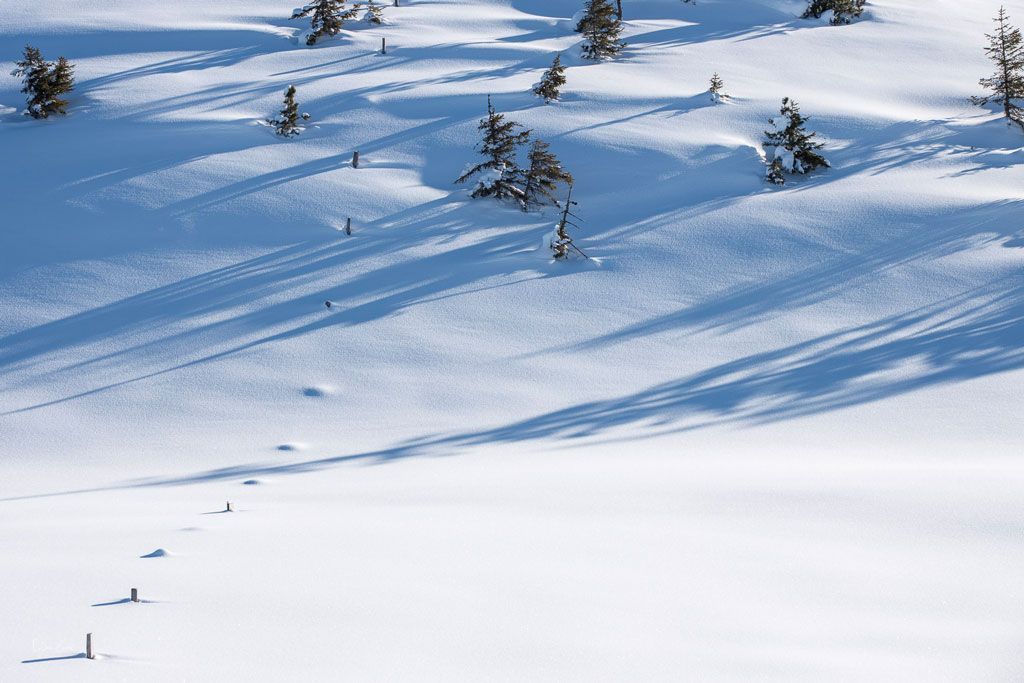 fotografieren im winter