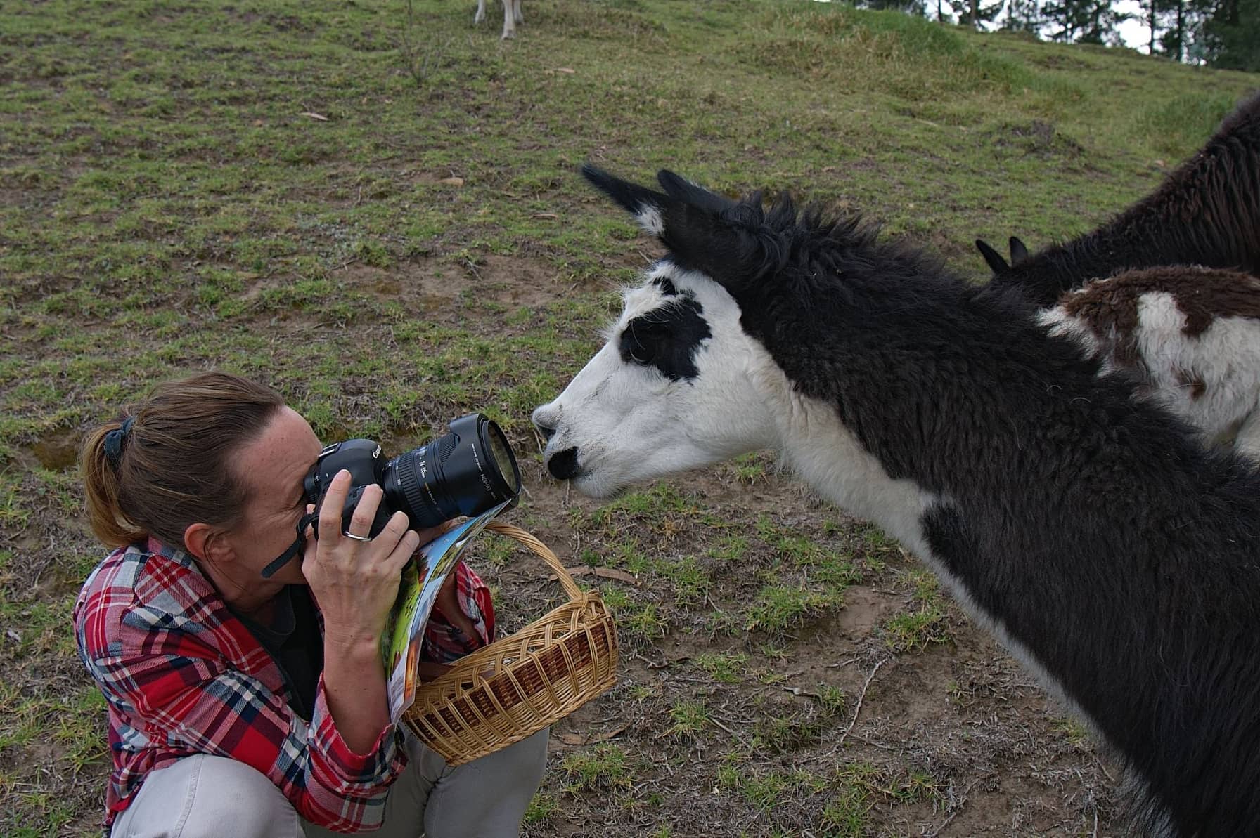 Ecuador photography tour