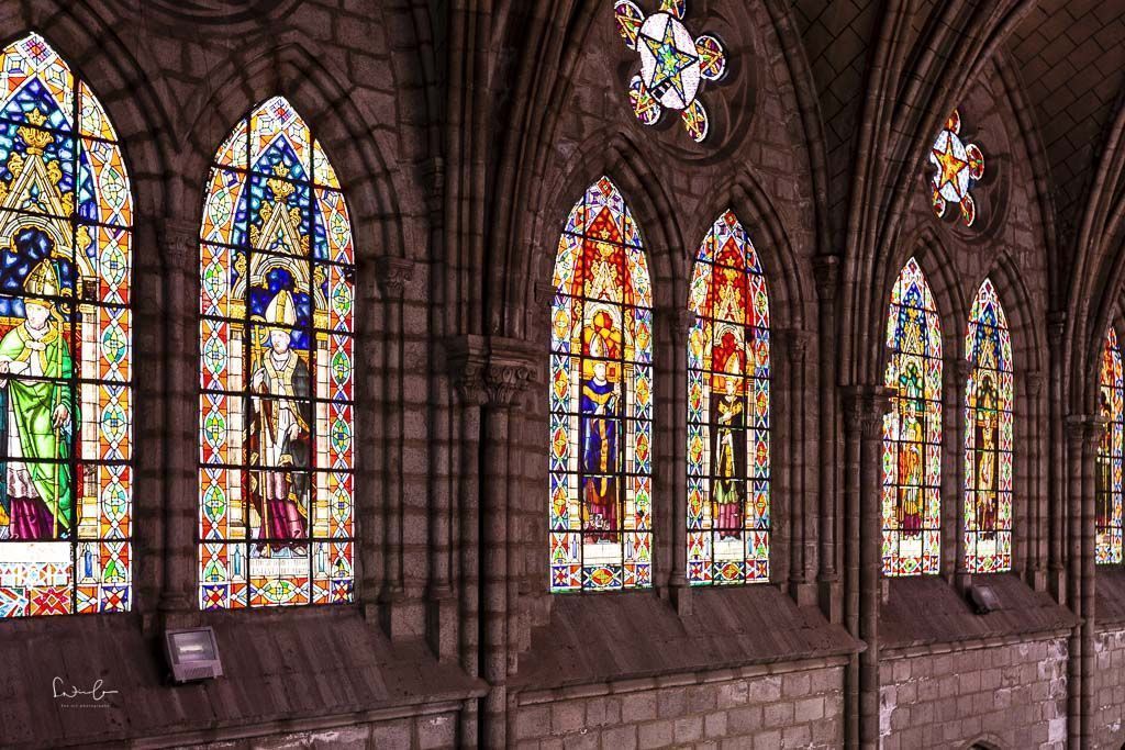 basilica del vote national - one day in Quito