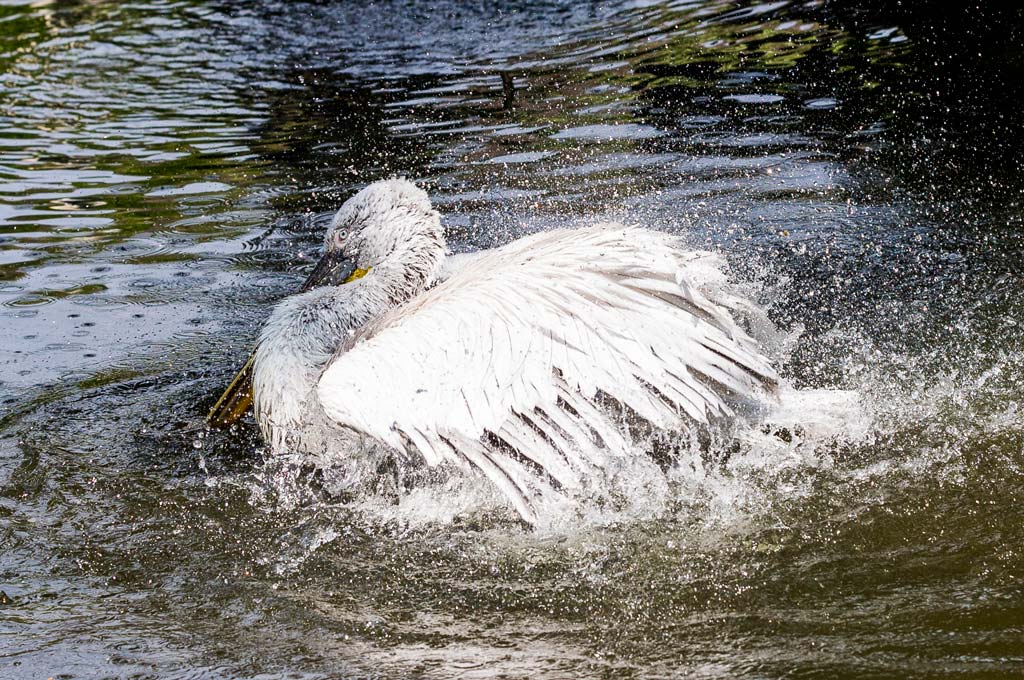 fotokurs Anfänger