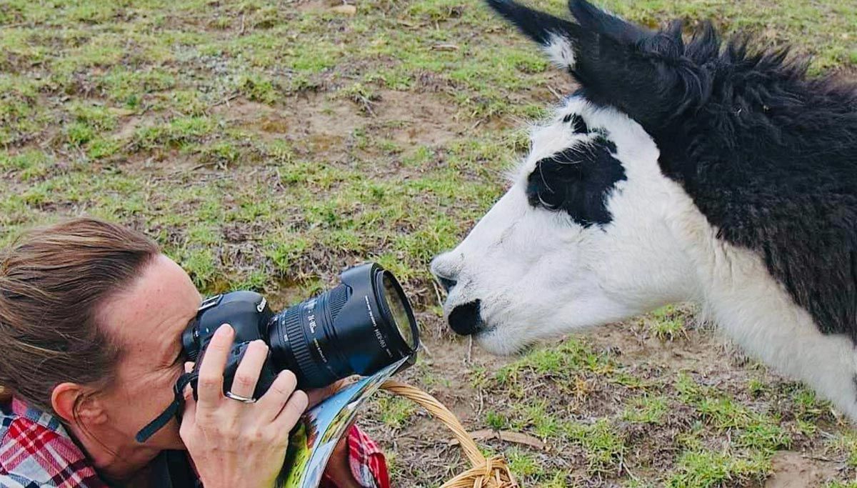 fotografieren lernen