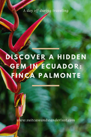 hidden paradise Finca Palmonte