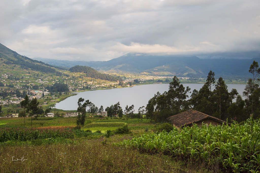 Otavalo el lechero view