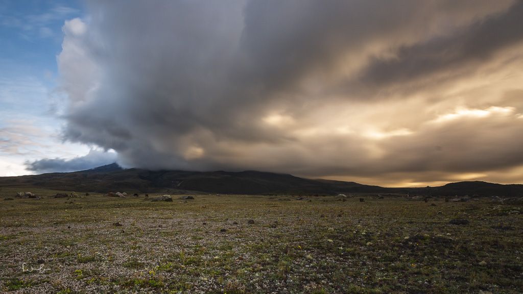 Cotopaxi National Park