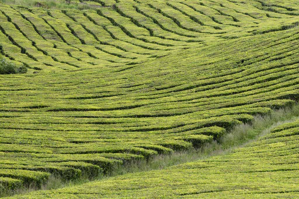 Azores photography locations