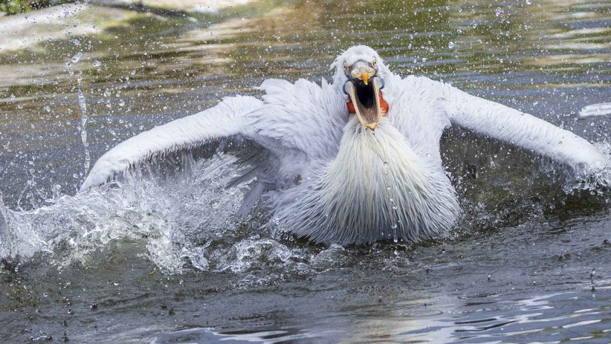 Fotokurs für Anfänger