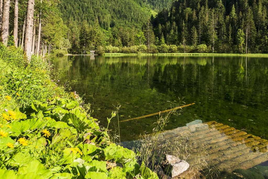 Schiederweiher Fotospots