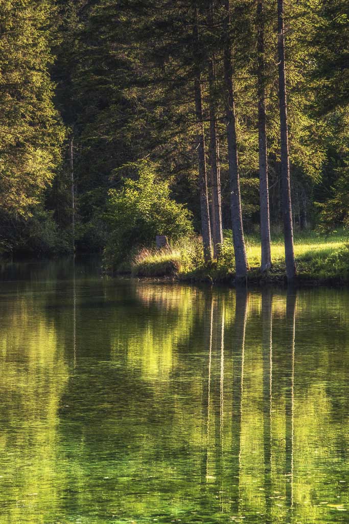 Schiederweiher Fotospots