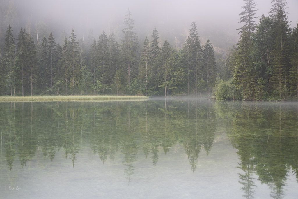 Schiederweiher Fotospots