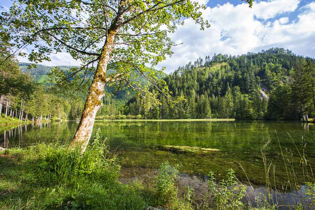 Schiederweiher Fotospots