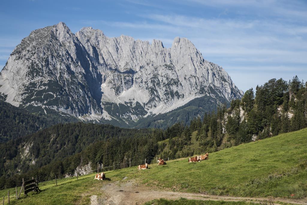 Blick auf das Kaisergebirge in Tirol