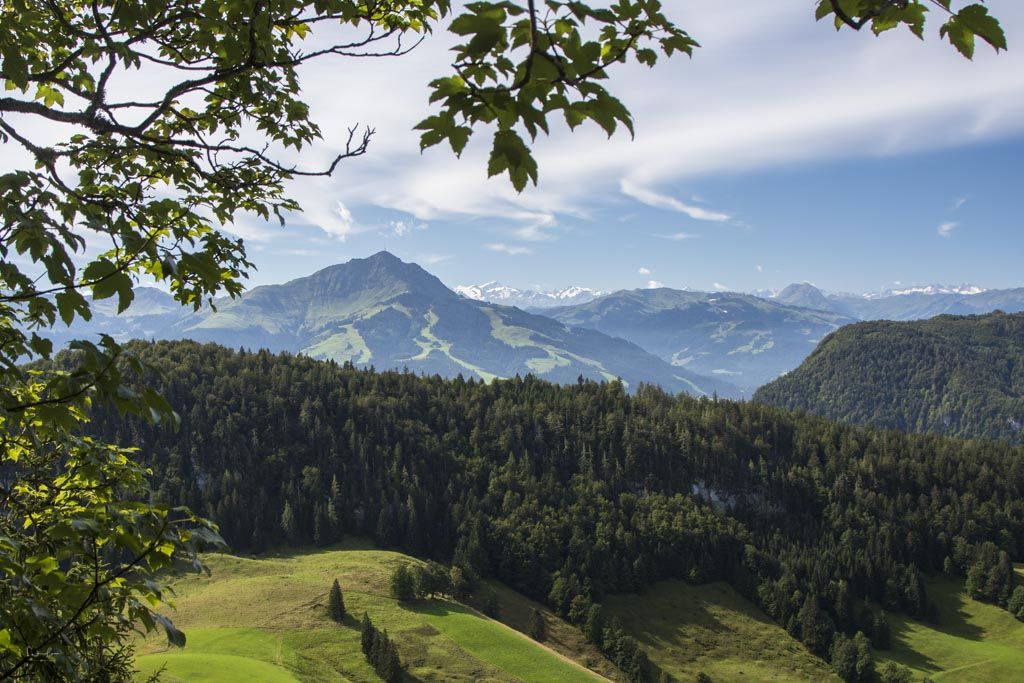 Blick auf das Kitzbüheler Horn