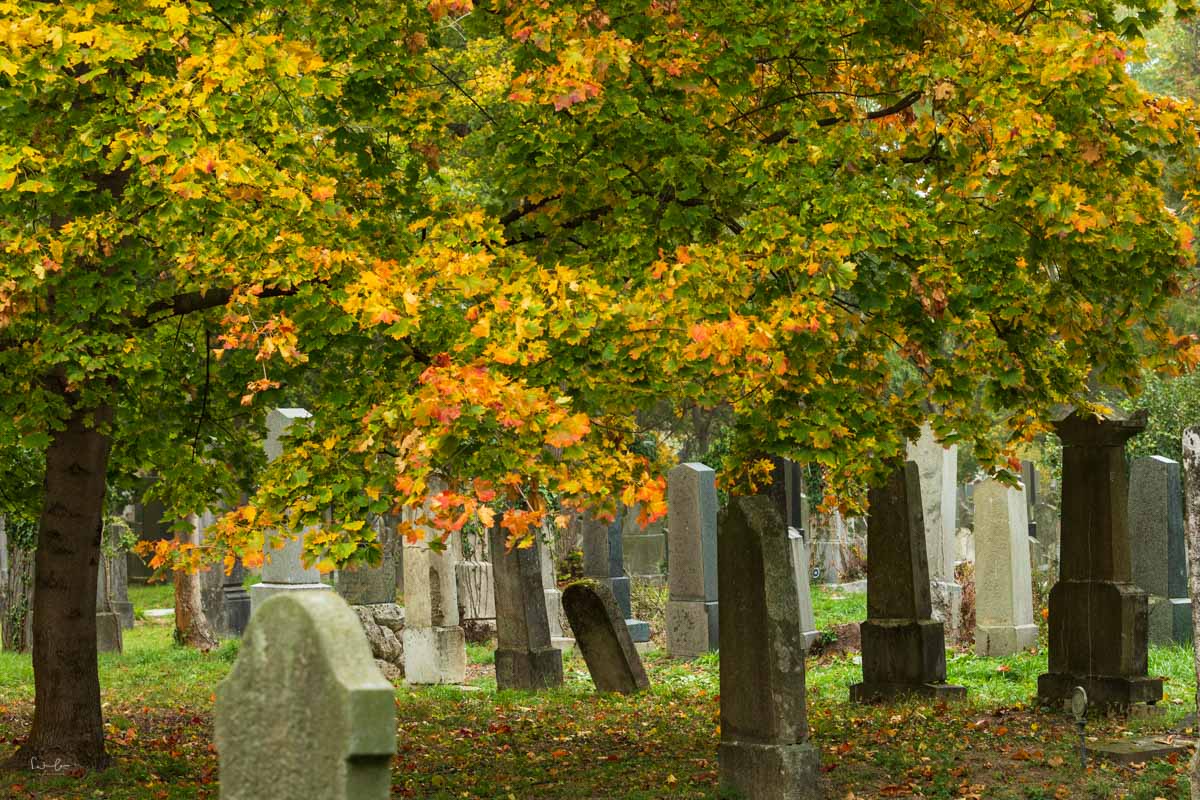 Herbstfotografie Tipps Friedhof