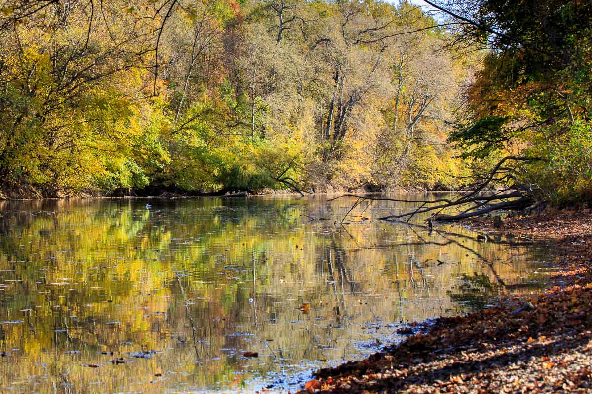 Herbstfotografie Tipps