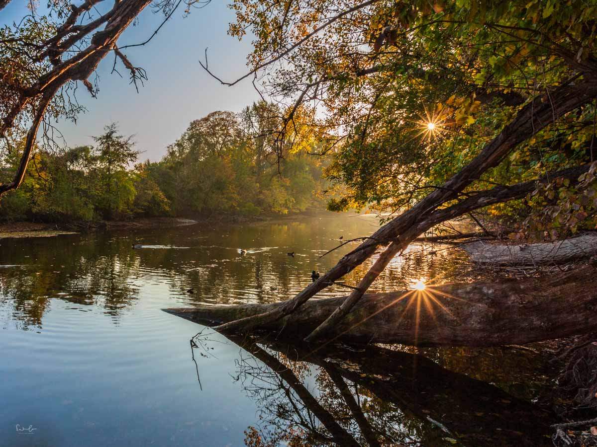 Herbstfotografie Tipps